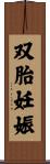 双胎妊娠 Scroll