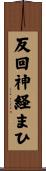 反回神経まひ Scroll