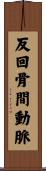 反回骨間動脈 Scroll
