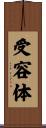 受容体 Scroll