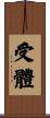 受體 Scroll