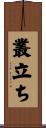 叢立ち Scroll