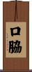 口脇 Scroll
