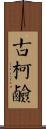 古柯鹼 Scroll