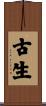 古生 Scroll