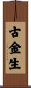 古金生 Scroll
