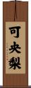 可央梨 Scroll