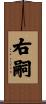 右嗣 Scroll