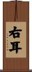 右耳 Scroll
