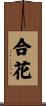 合花 Scroll