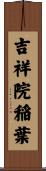 吉祥院稲葉 Scroll
