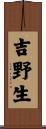 吉野生 Scroll