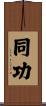 同功 Scroll