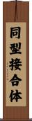 同型接合体 Scroll