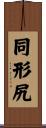 同形尻 Scroll