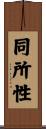 同所性 Scroll