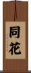 同花 Scroll