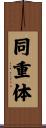 同重体 Scroll