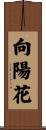 向陽花 Scroll