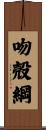吻殻綱 Scroll