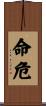 命危 Scroll