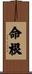命根 Scroll