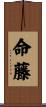 命藤 Scroll