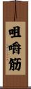 咀嚼筋 Scroll