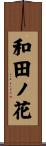 和田ノ花 Scroll