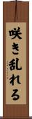 咲き乱れる Scroll