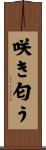 咲き匂う Scroll