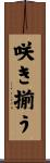 咲き揃う Scroll