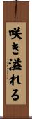 咲き溢れる Scroll