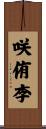 咲侑李 Scroll