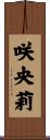 咲央莉 Scroll