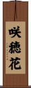 咲穂花 Scroll