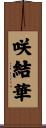 咲結華 Scroll
