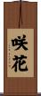 咲花 Scroll