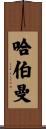Haberman Scroll