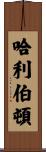 哈利伯頓 Scroll