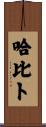 Habib Scroll