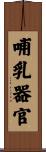 哺乳器官 Scroll
