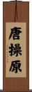 唐操原 Scroll