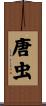 唐虫 Scroll
