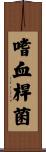 嗜血桿菌 Scroll