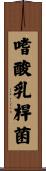 嗜酸乳桿菌 Scroll