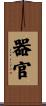 器官 Scroll
