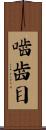 嚙齒目 Scroll