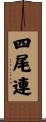 四尾連 Scroll