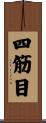 四筋目 Scroll